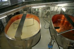 cheese processing